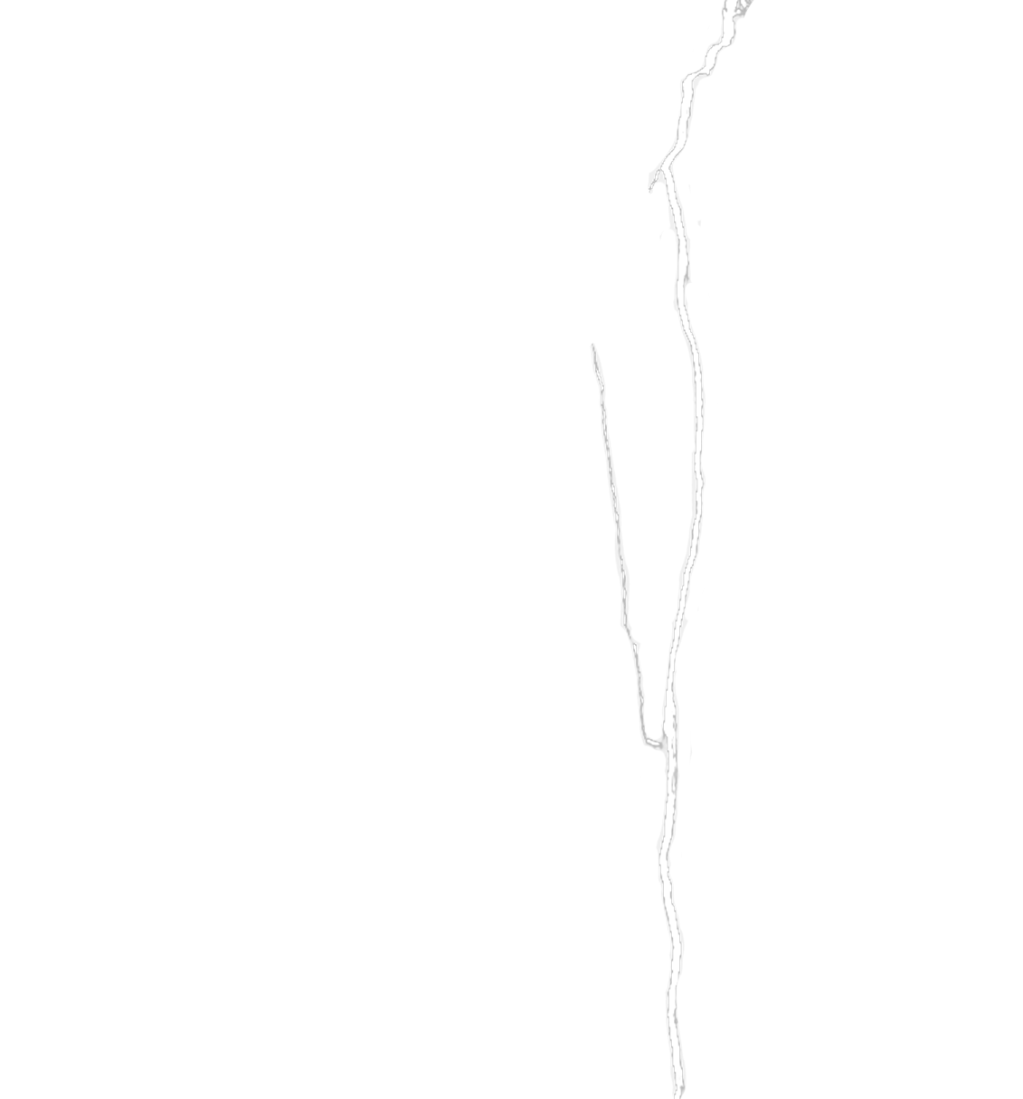 fissure-fondation